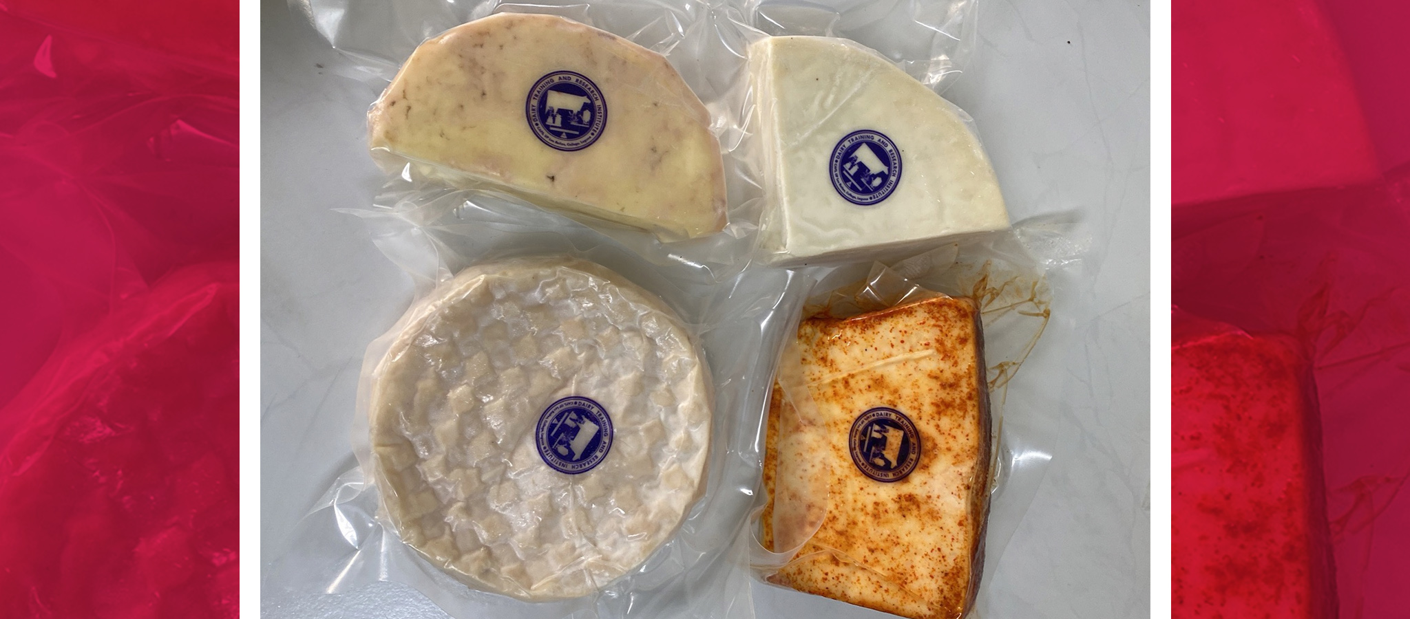 Say “cheese” with more DTRI cheeses