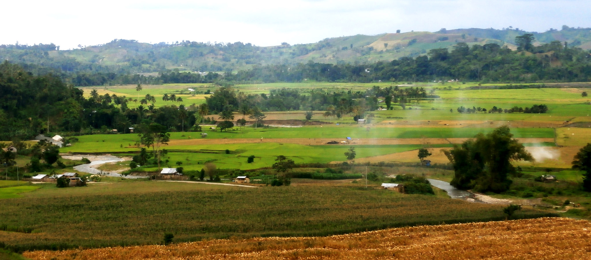 Are small farms still the best option for PH agrarian?