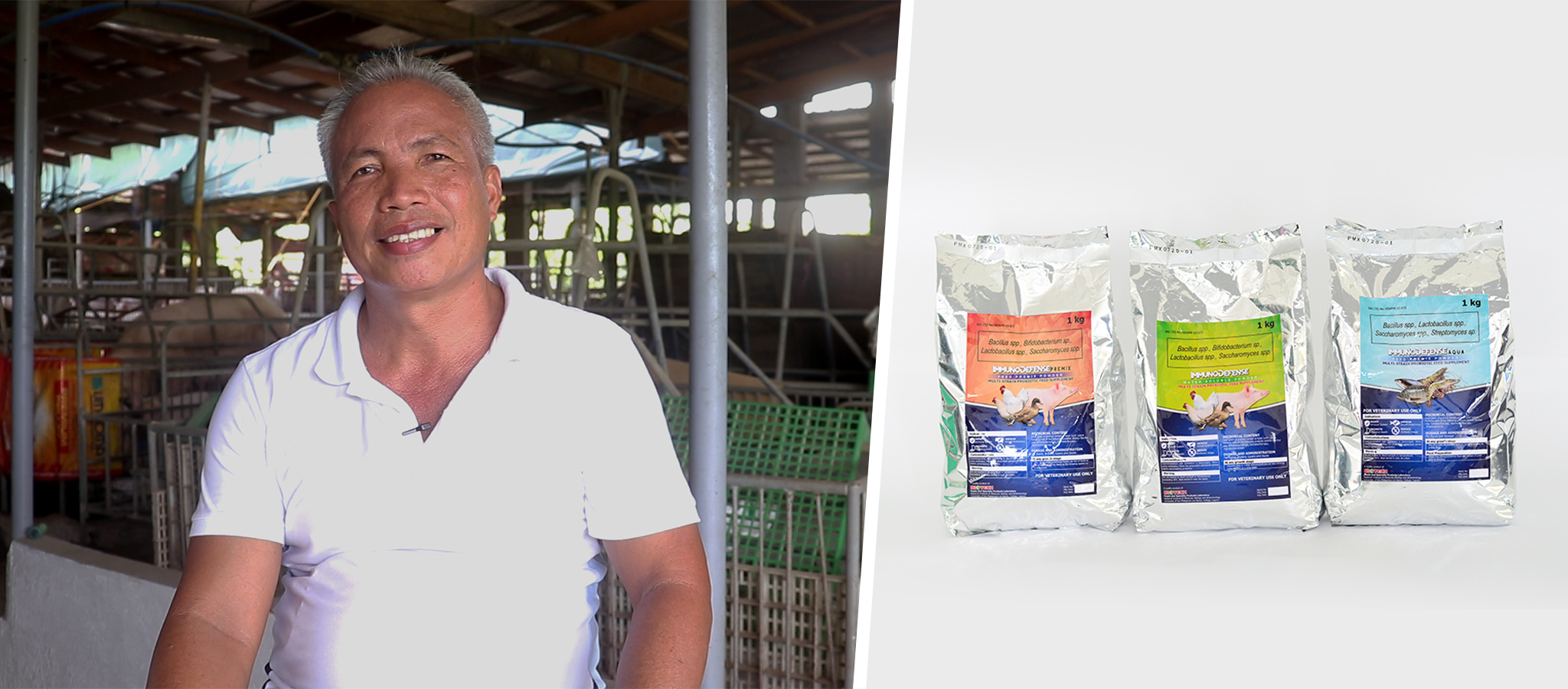 Batangas swine farmers reap benefits of UPLB-BIOTECH’s probiotics animal feed supplement