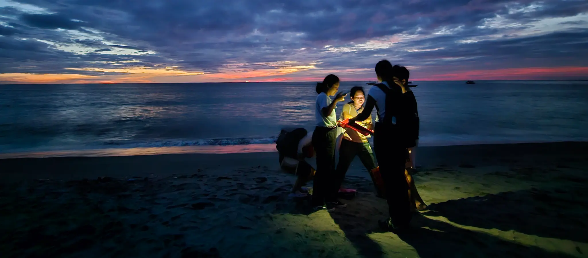 How natural capital accounting can help protect sea turtles
